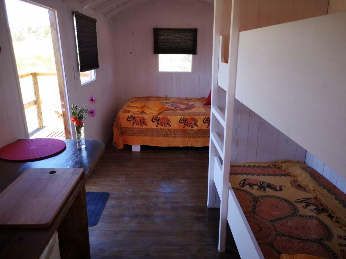 Campeggio Moledos Glamping